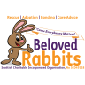 Beloved Rabbits