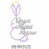 Angel rabbit rescue