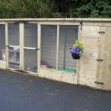 An open hutch within a nice long enclosure allows the rabbits to come and go as they please