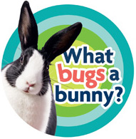 What bugs a bunny?