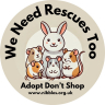 Nibbles Rodent & Rabbit Rescue