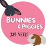 Bunnies in need