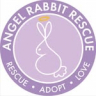 Angel rabbit rescue