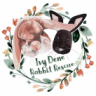 Ivy Dene Rabbit Rescue