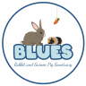 Blues rabbit and guineapig sanctuary