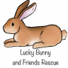 Lucky Bunny and Friends Rescue