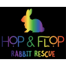 Hop & Flop Rabbit Rescue