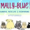 Mally-Blue Rescue & Rehome