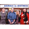 Animals in Distress