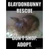 Blaydonbunny Rescue