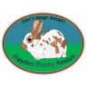 Blaydonbunny Rescue