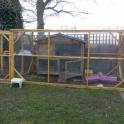 13x6 foot aviary with security porch, with the hutch inside 6x3 foot double storey. Home to Spirit and Olwen. Thanks Sarah!