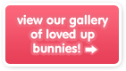 Bonded rabbits gallery