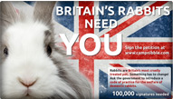 Rabbit Welfare Petition