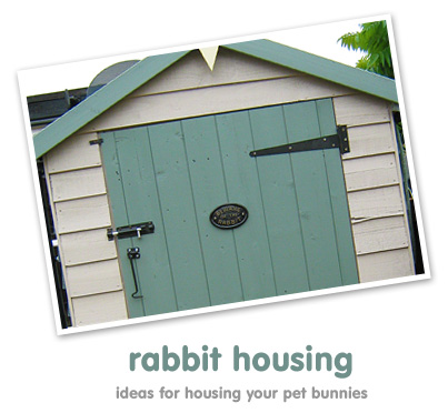 Rabbit housing