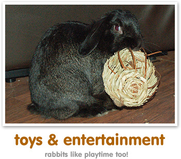 Rabbit toys