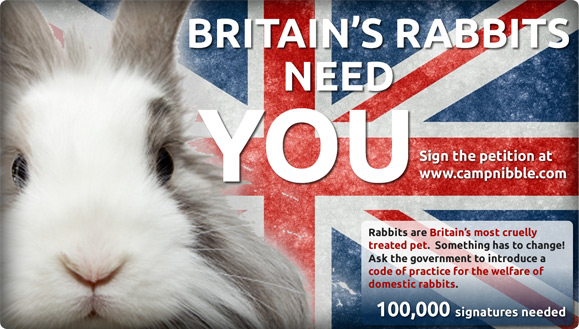 Rabbit Welfare Petition