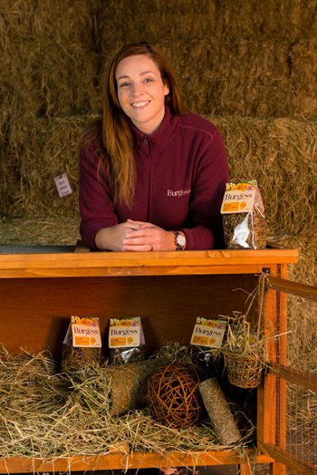 Looking after pet rabbits on bonfire night