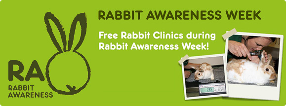 Rabbit Awareness Week