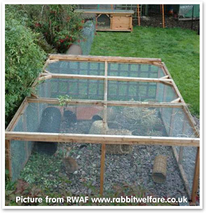 Rabbit hutch and run